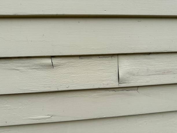 Best Property Management Cleanouts  in Brinckerhoff, NY